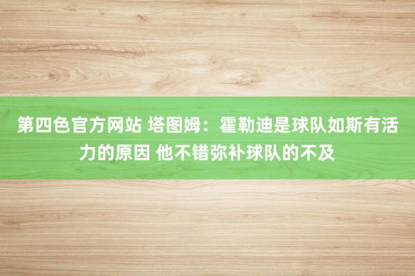 第四色官方网站 塔图姆:霍勒迪是球队如斯有活力的原因 他不错弥补球队的不及